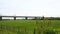 Meadow with railway bridge in the background in the Delta del Llobregat in Sant Boi de Llobregat