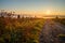 Meadow and road in foggy sunrise with sunstar landscape