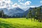 Meadow in Rocky Mountain National Park