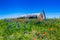 A Meadow with Round Hay Bales and Fresh Texas Wildflowers