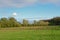 Meadow with row of pollarded willowsand other trees and shrubs and reed in the marsh under a blue sky with soft clouds