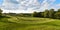 Meadow with rows of drying hay ready for harvest