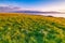 The meadow of Sailimu lake Xinjiang, China