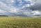 Meadow and sky