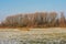 Meadow with snow and bare trees behind