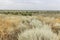 A meadow in a steppe landscape. Plateau in the Volgograd region