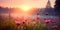 Meadow Sunrise scenic panorama with a sun-kissed meadow, showcasing the beauty of morning light.