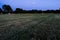 Meadow at sunset in Michigan