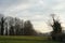 A meadow surrounded by a group of trees in winter with silhouettes of mountains in the background. The sky is covered by cirrus cl