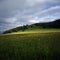 Meadow before thunder storm