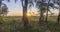 Meadow timelapse at the summer or autumn time. Rural field witch sun rays, trees and green grass. Motorised dolly slider