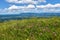 Meadow at the top of Sveta Trojica hill with pink crane\\\'s-bill