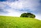 Meadow, tree and clouds