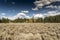 Meadow and trees at the Chapel of the Transfiguration Moose Tetons National Park Wyoming