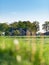 Meadow with trees and farmhouse under blue sky.