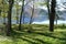 Meadow with trees and park bench on a blue mountain lake