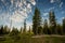 Meadow Turns To Sparse Forest Along Lightning Springs Trail