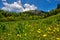 Meadow under Janosikova Skala