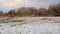 Meadow under snow with reed, shrubs and bare trees behind in Bourgoyen nature reserve, Ghent, Belgium