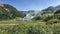 On the meadow in the Valley of Geysers lush green vegetation, wildflowers.