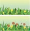Meadow. Vector image. Background.
