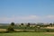 Meadow in Vojvodina region Serbia, cultivated with corn and vegetables,  near Zrenjanin city, 18 May 2019