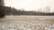 Meadow and wetland floodplain forest covered with snow in winter, landscape of Poodri, protected landscape area, very