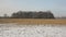 Meadow and wetland floodplain forest covered with snow in winter, landscape of Poodri, protected landscape area, very