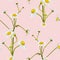 Meadow wildflower seamless pattern. Botanical camomile, background.