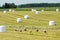 A meadow with a wrapped hay bales and lots of storks