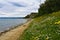 Meadow with yellow and white flowers in spring at the coast of the Adriatic sea