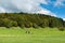 Meadows beneath the Winterkopf