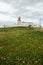 Meadows & Cliffs edge Cabo da Roca, Portugal