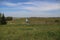 Meadows, ditches and weed flowers of the lowest polder of Europe named Zuidplaspolder in the Netherlands