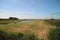 Meadows, ditches and weed flowers of the lowest polder of Europe named Zuidplaspolder in the Netherlands