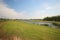 Meadows, ditches and weed flowers of the lowest polder of Europe named Zuidplaspolder in the Netherlands