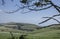 Meadows in Dorset - blue skies.