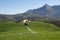 Meadows, farmhouse and sheep in Lazkaomendi with the Aralar mountain range in the background, Euskadi