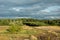 Meadows and fields, green forest and dark rainy clouds