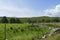 Meadows, fields and hills in highlands of Scotland