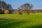 Meadows, fields and trees in the Ruhraue near Mintard