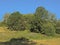 Meadows and forest in the Luxembourg countryside