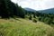 Meadows and forests above Jasenova with hills of Mala Fatra National Park, Slovakia