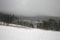 Meadows and forests covered with snow