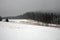 Meadows and forests covered with snow