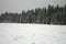 Meadows and forests covered with snow