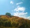 Meadows with gradation leaf upon a hill