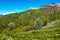 Meadows and hills in spring, in the background the Alpine chain, Piedmont Italy