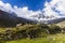 Meadows, mules and snow caped mountains in Huascaran National Park