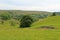 Meadows near Kilnsey